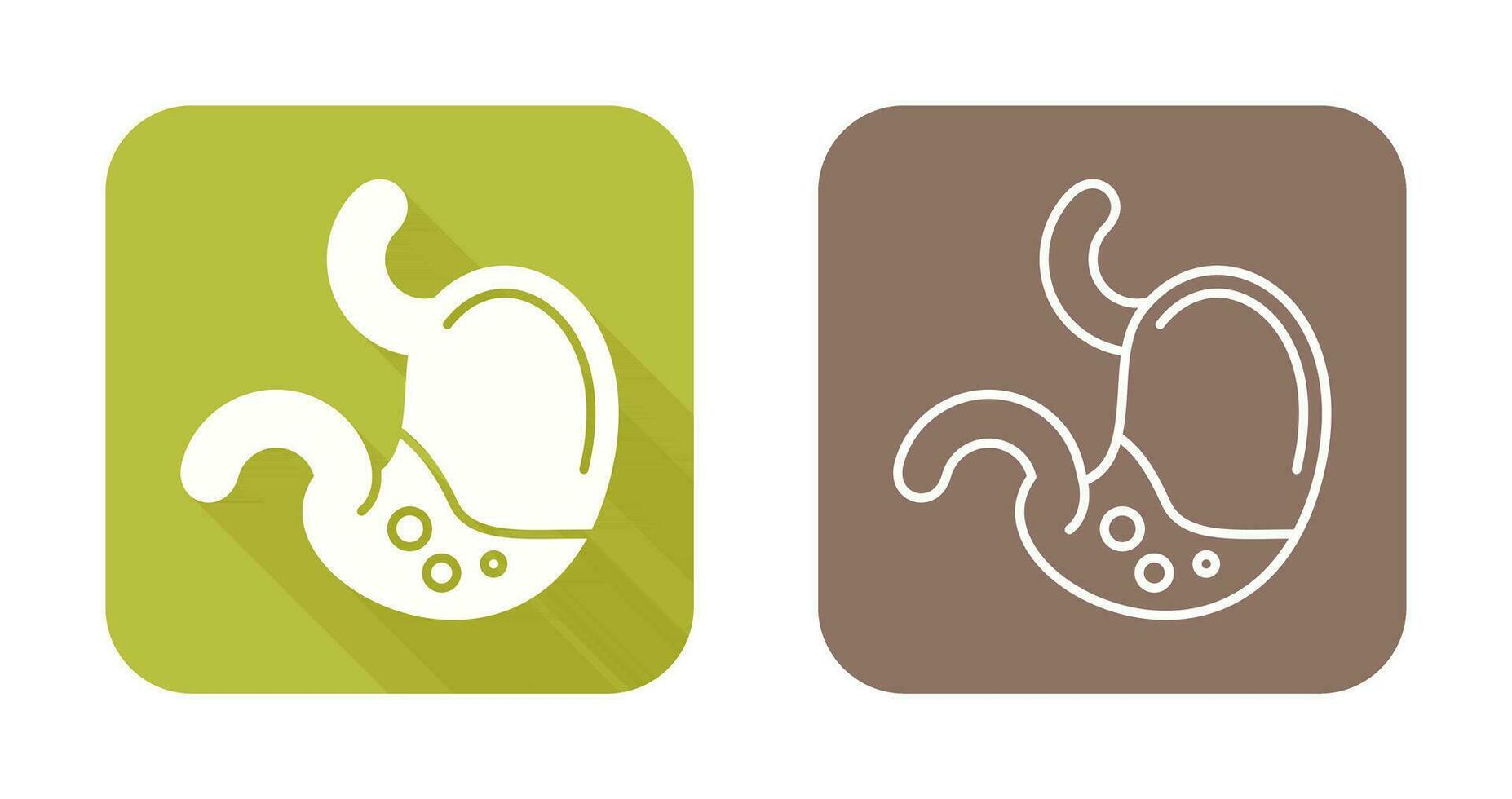 Stomach Vector Icon
