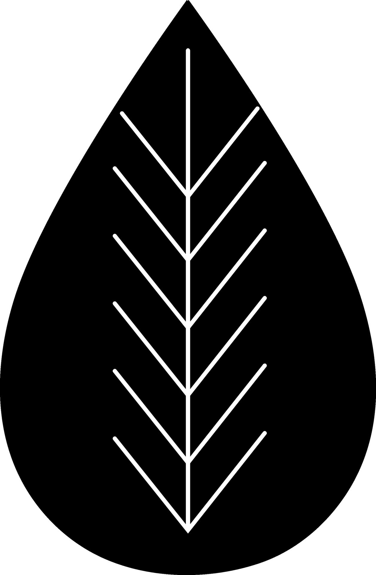Flat style leaf in Black and White color. 25320638 Vector Art at Vecteezy