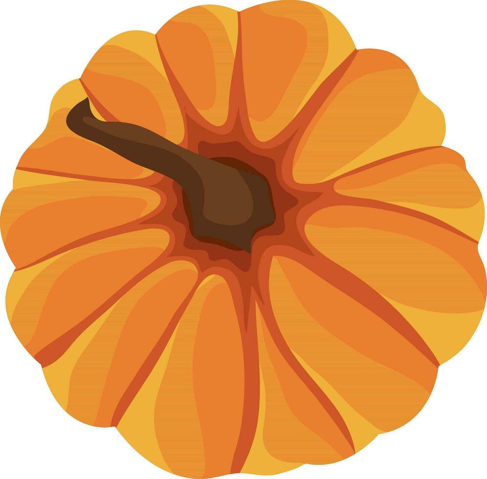 Top view of a pumpkin. vector