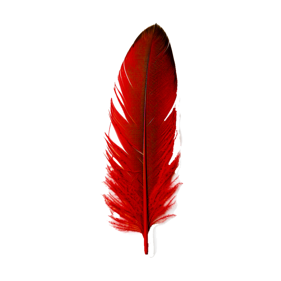 Leaf Northern cardinal Feather, Red Feather, leaf, feather Generative Ai png