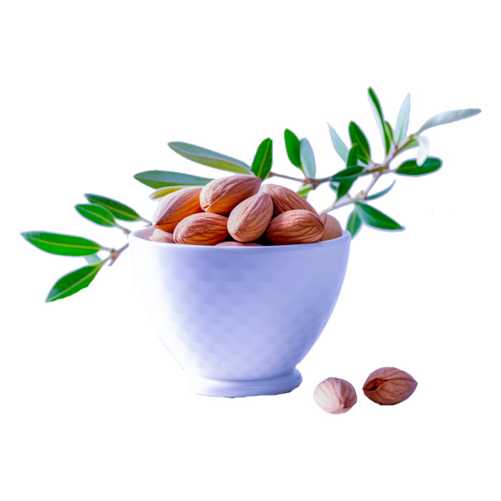 Set Almond In Nutshell With Leaves Detailed Raw Nut png