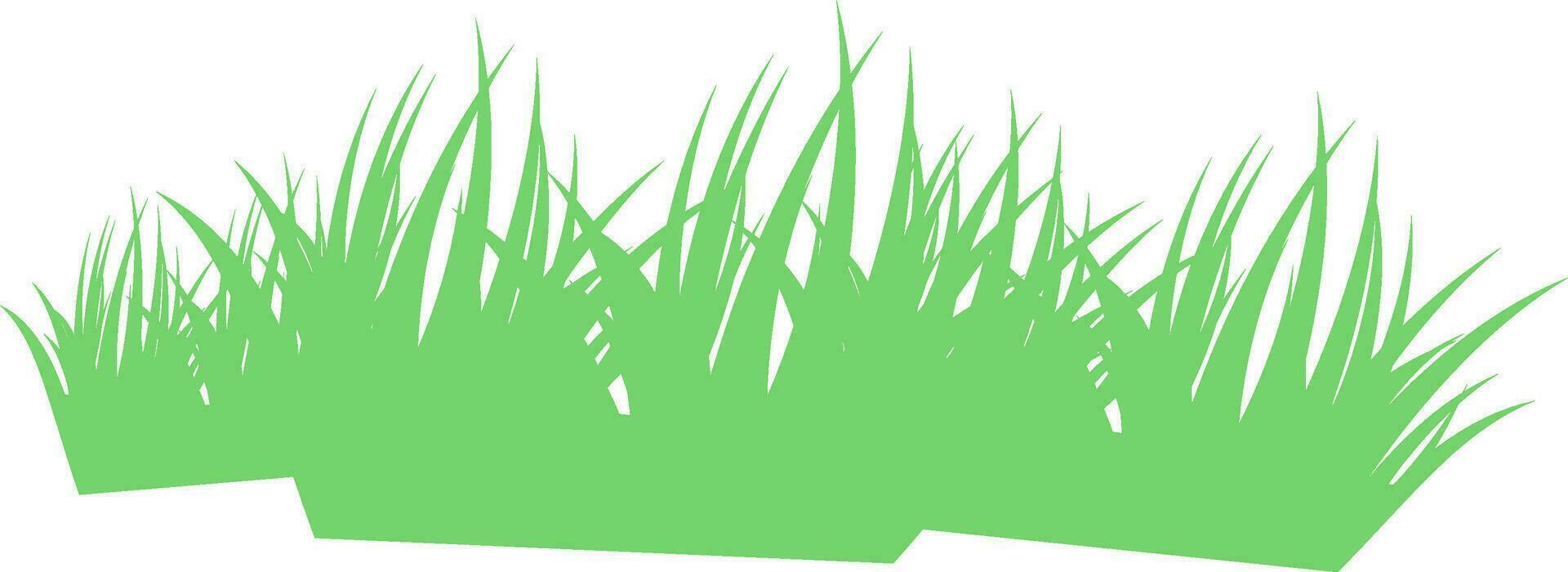 Illustration of green grass. vector