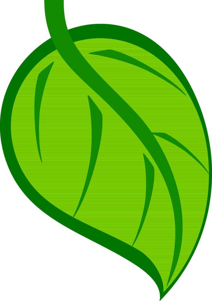 Illustration of a leaf. vector