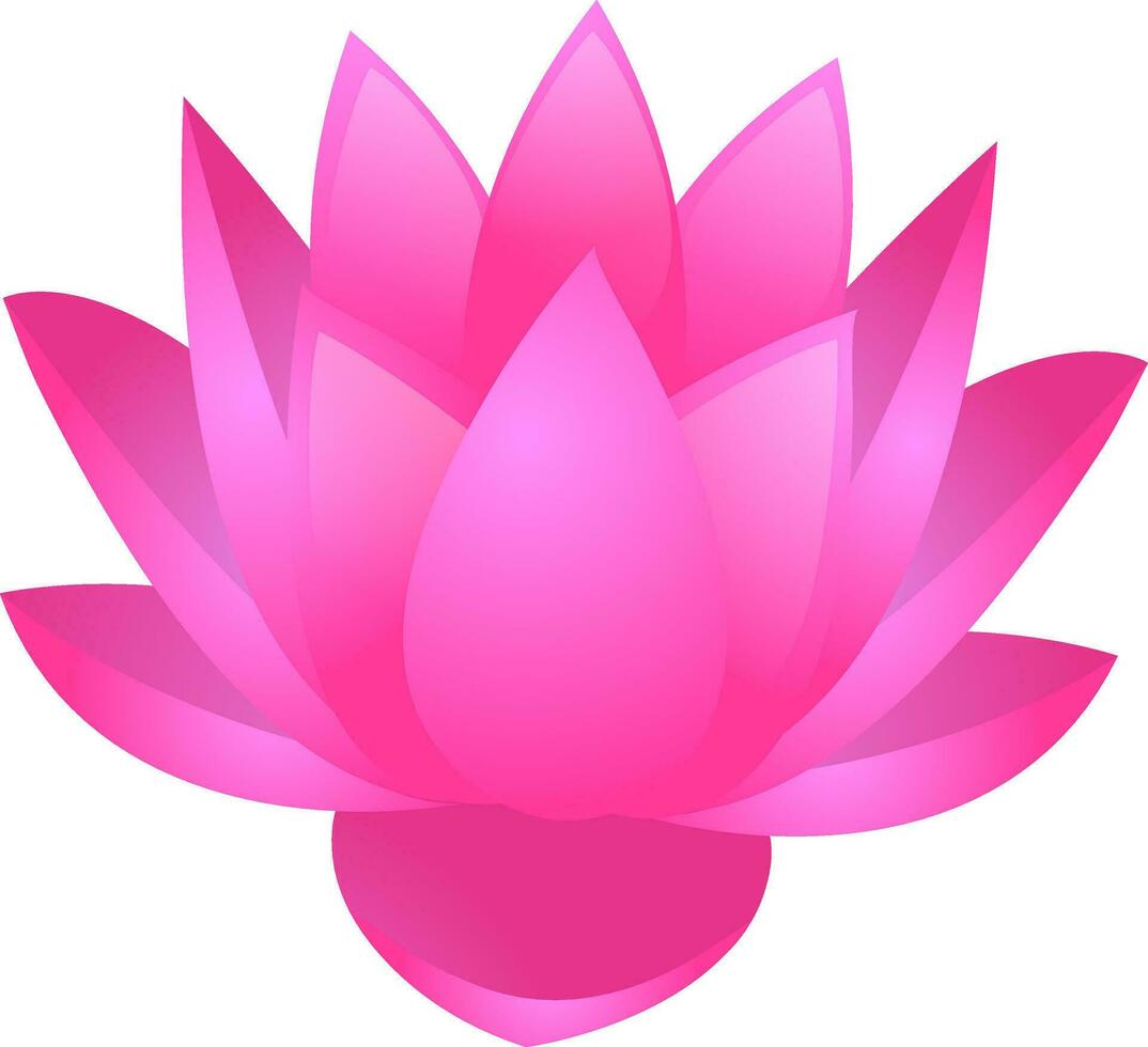 Illustration of glossy pink Lotus Flower. vector