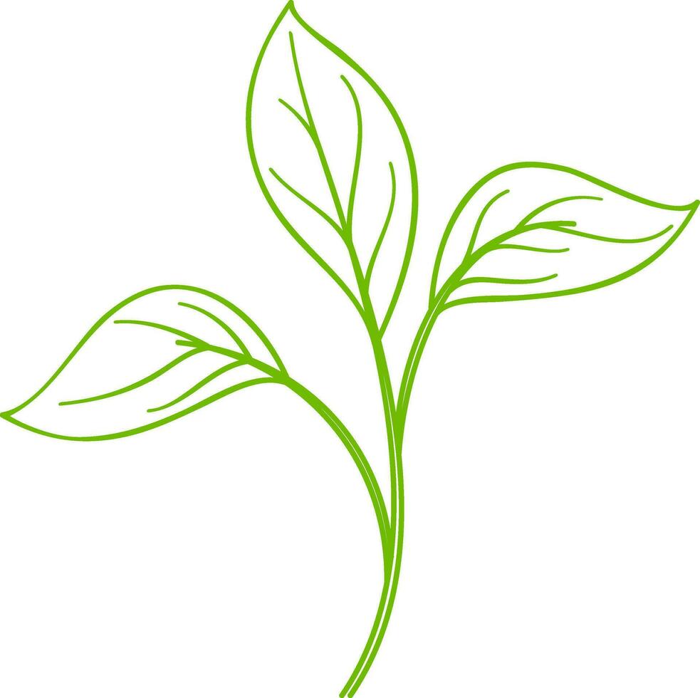 Flat illustration of green branch of leaves. vector