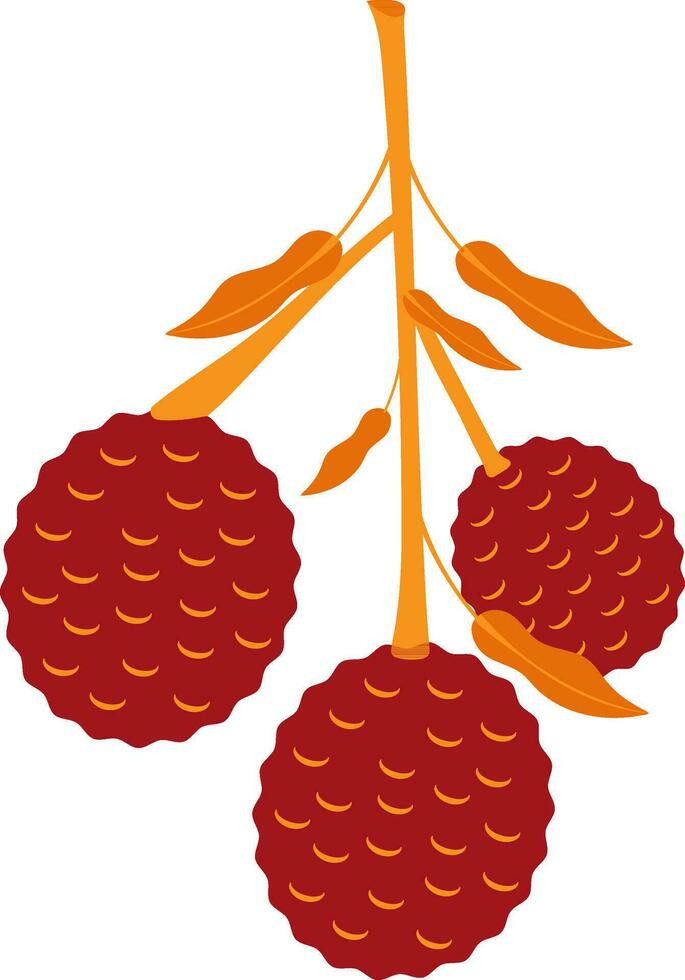 Red lychees with orange leaves. vector