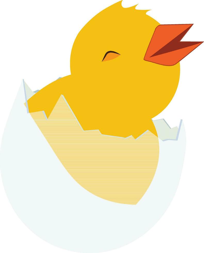 Newborn chiken in broken egg shell. vector