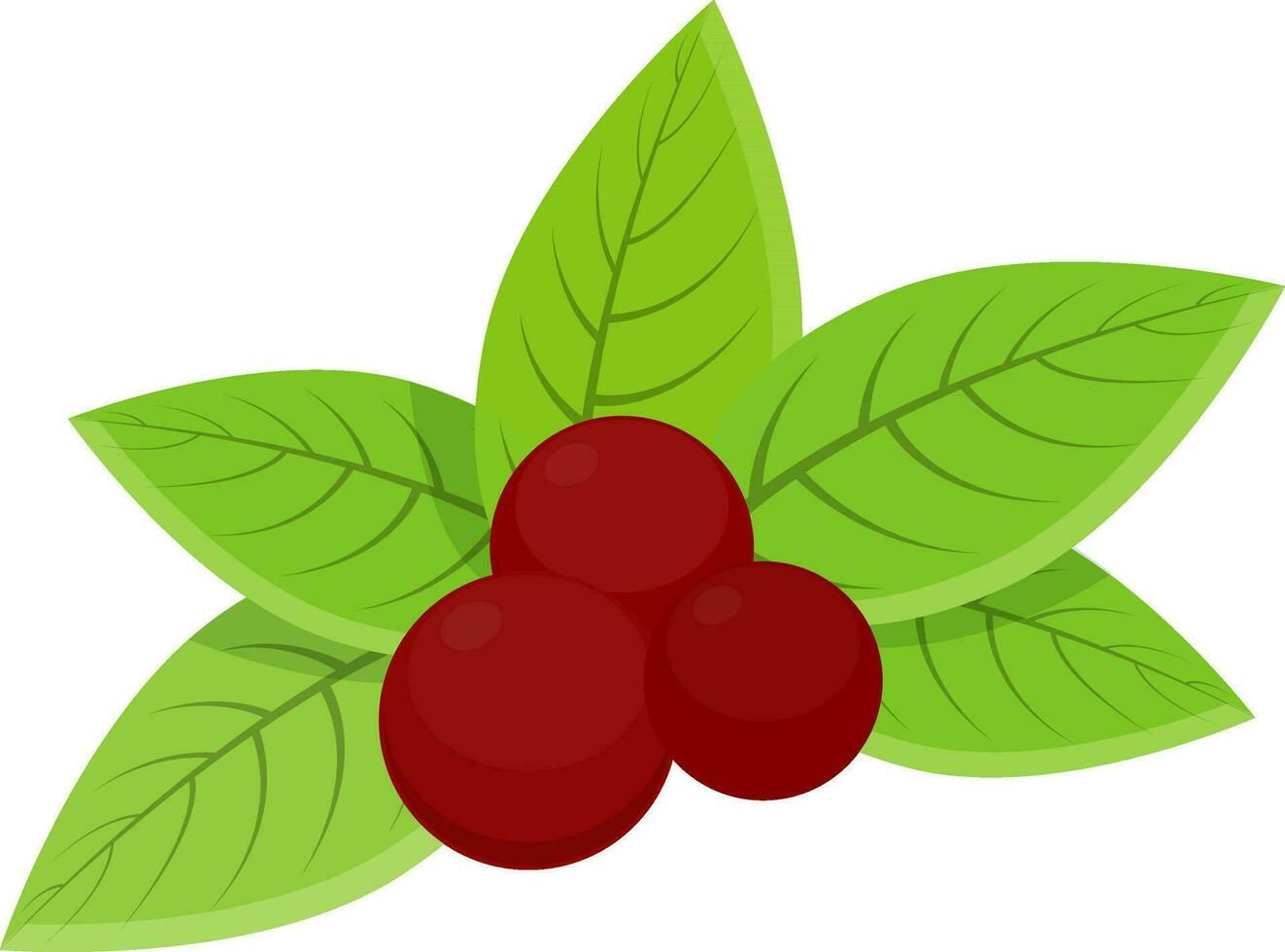 Illustration of red berries with green leaves. vector