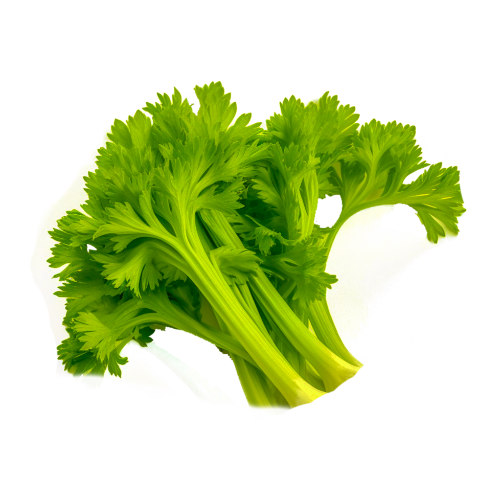 Celery Spring greens Vegetable Rapini Lettuce, vegetable, leaf Vegetable, food, nutrition Generative Ai png