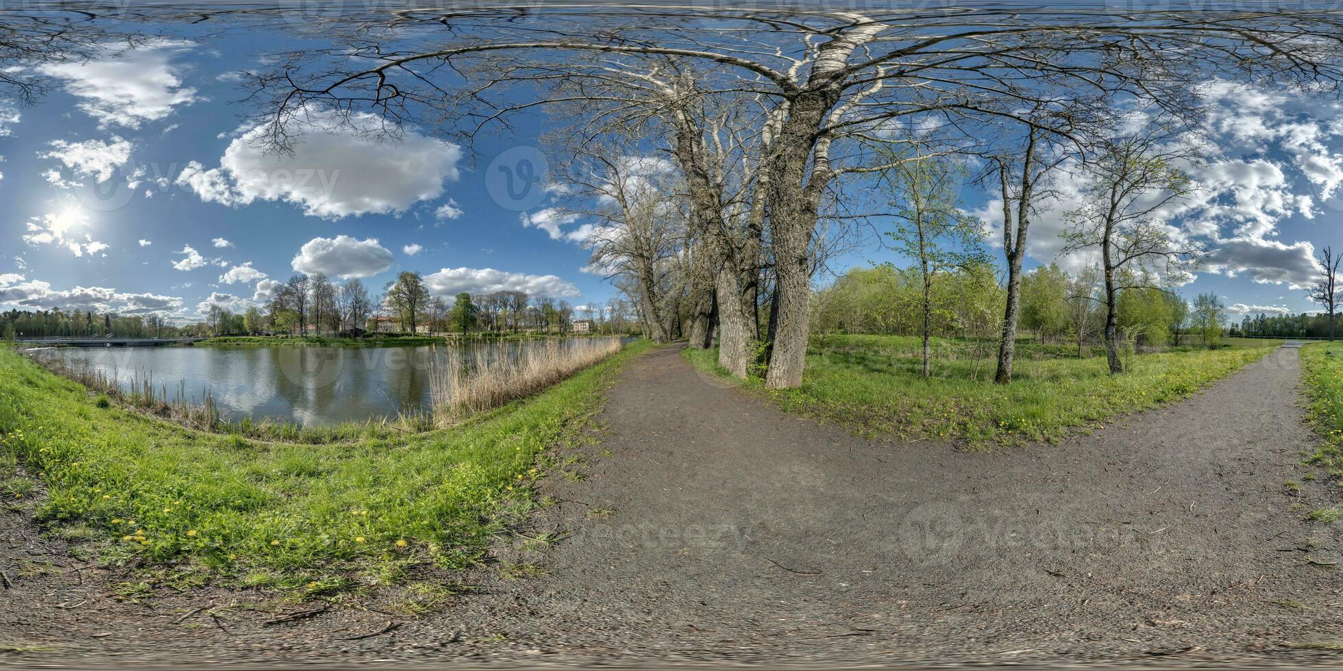 full seamless spherical 360 hdri panorama view on pedestrian walking path among poplar grove with clumsy branches near lake in equirectangular projection with , ready VR AR content photo
