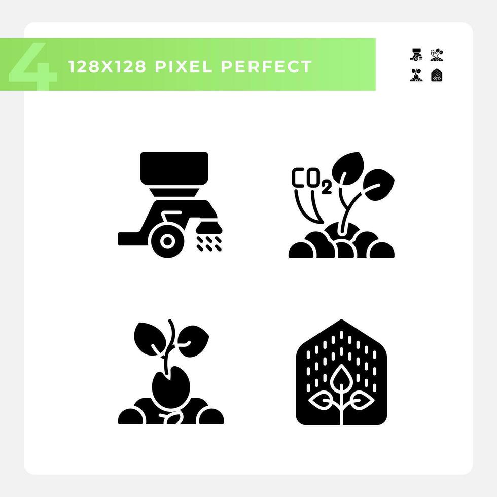 Plant development black glyph icons set on white space. Growing process. Seedling growth. Sustainable agriculture. Silhouette symbols. Solid pictogram pack. Vector isolated illustration