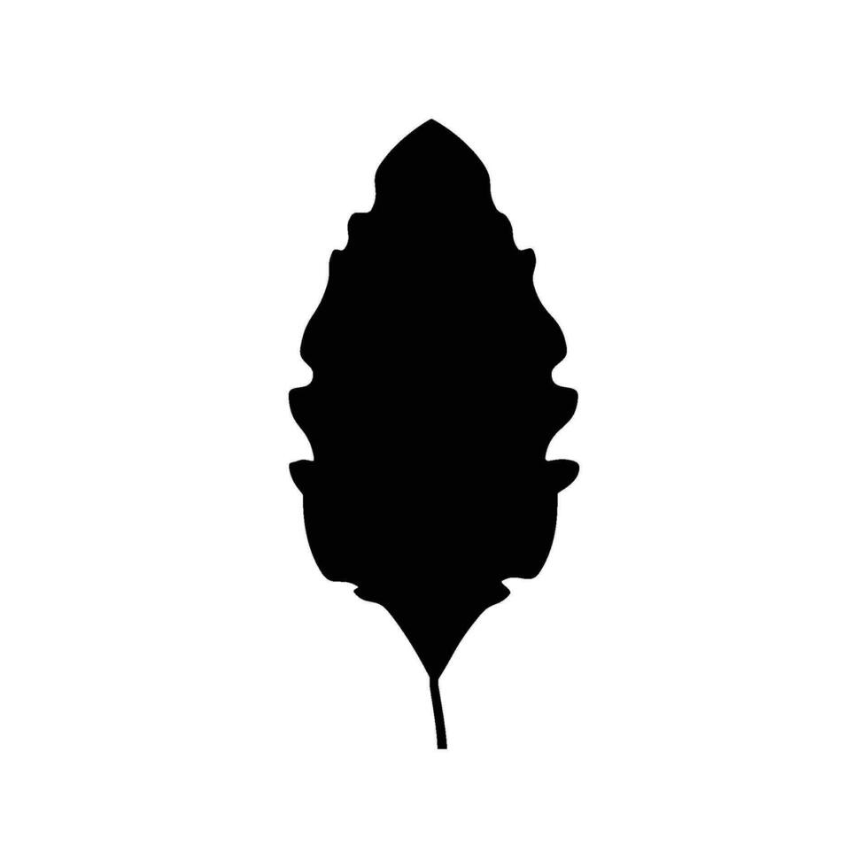 Black tree leaf vector illustration isolated on transparent background