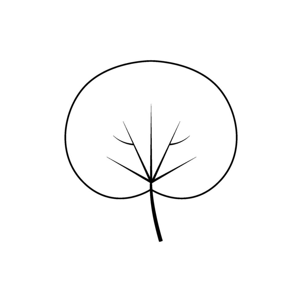 contorno árbol hoja vector ilustración aislado en transparente antecedentes