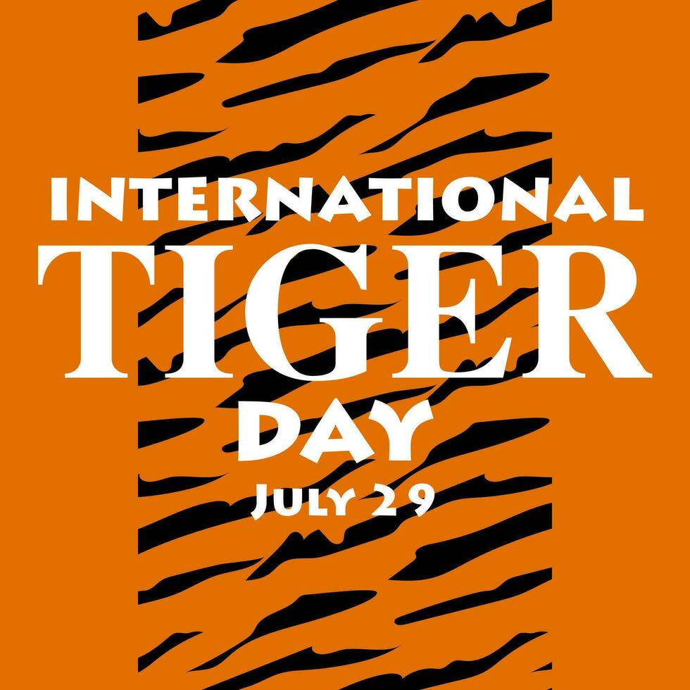 International Tiger Day on July 29. Orange background with tiger scratch pattern. Suitable for printing on postcards, banners, flyers. Tiger claw marks, scratched fabric vector