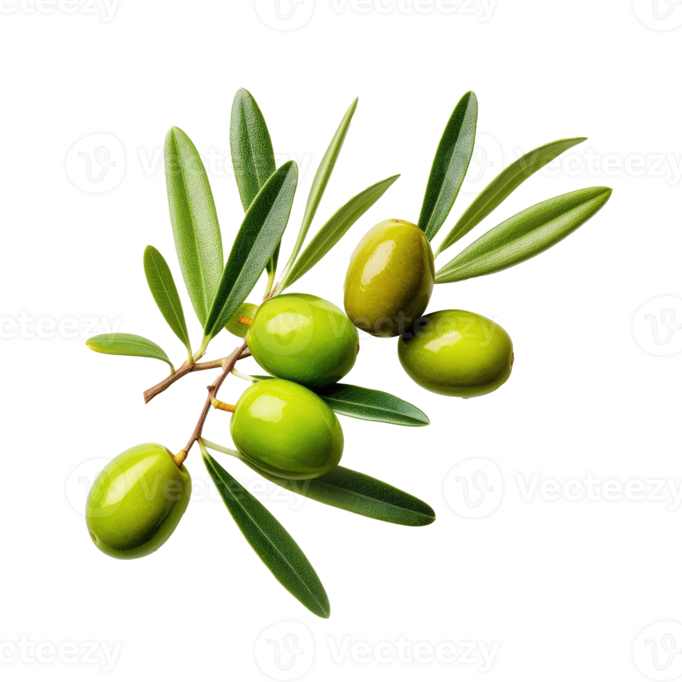 oliva ramoscello con parecchi verde olive su esso. illustrazione ai generativo png