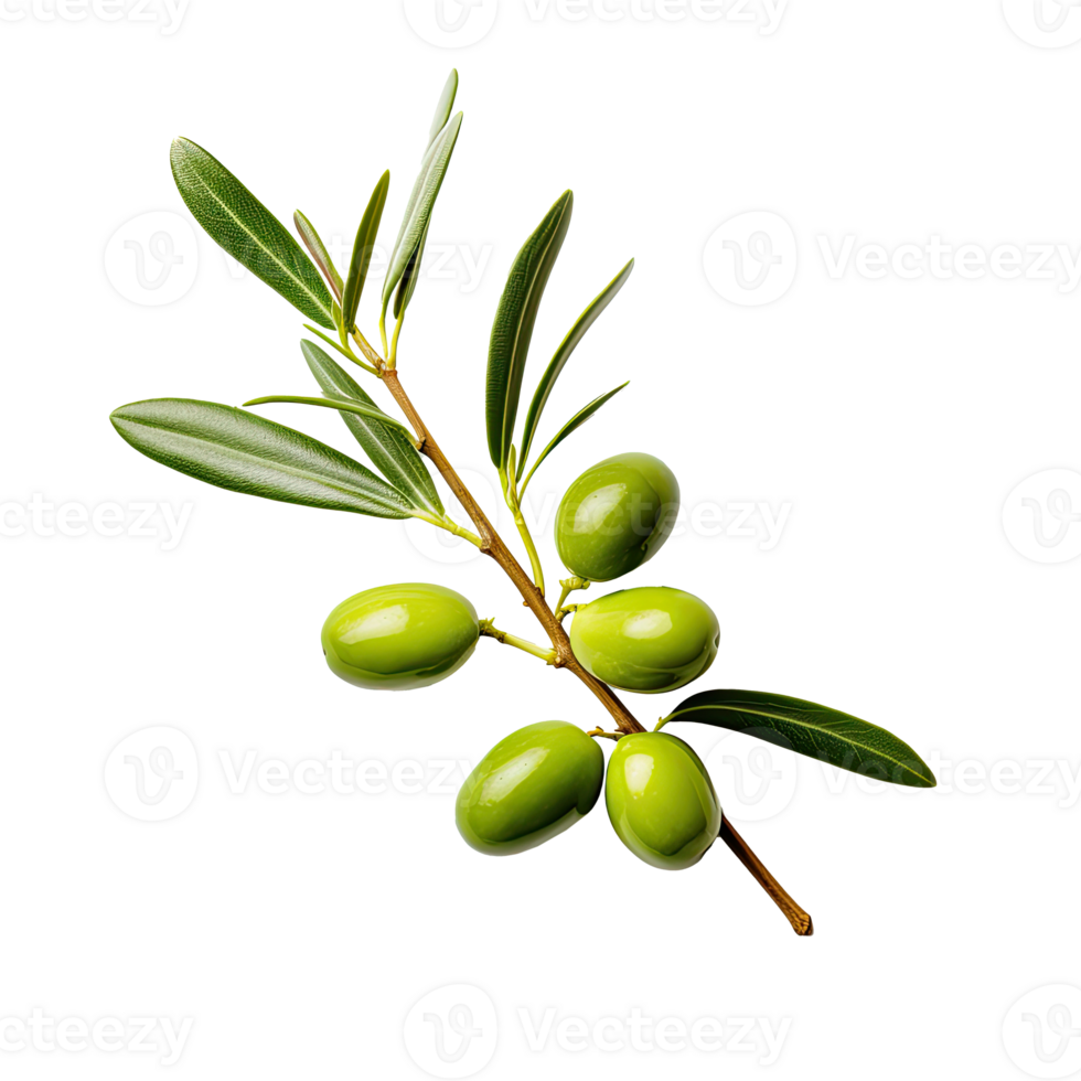 Olive twig with several green olives on it. Illustration AI Generative png