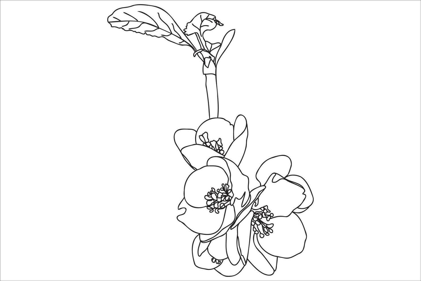 a blossoming tree branch is drawn in black outline, it is intended for print, postcard, tattoo, logo, March 8, Valentine and you can use it in different cases. vector