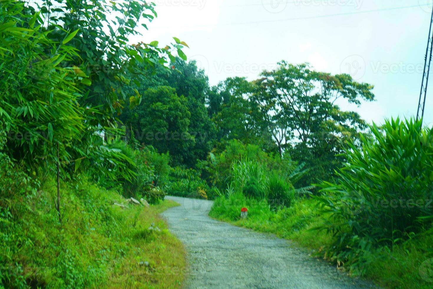 Sikkim Village road at East Sikkim photo