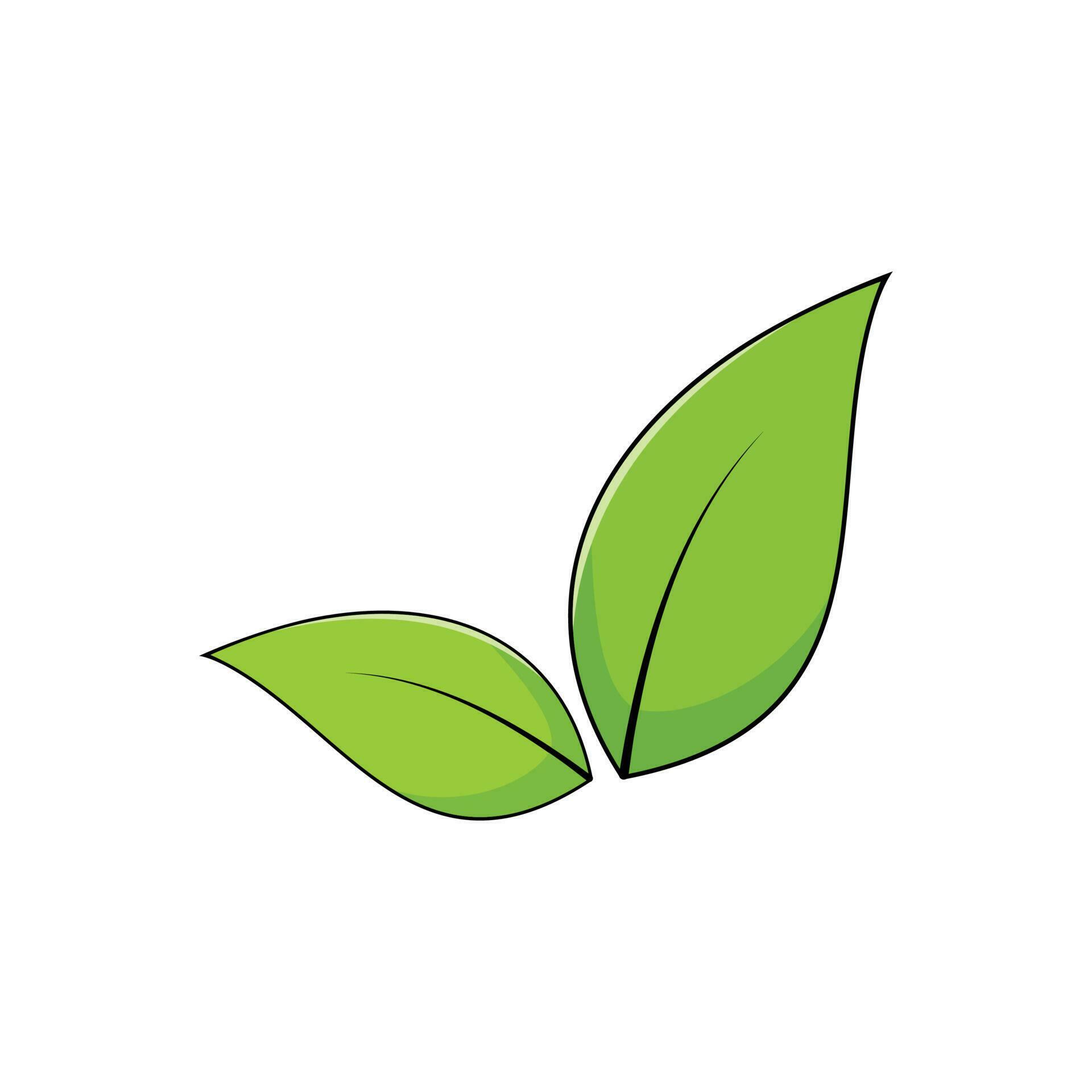 chinese new year bath leaves