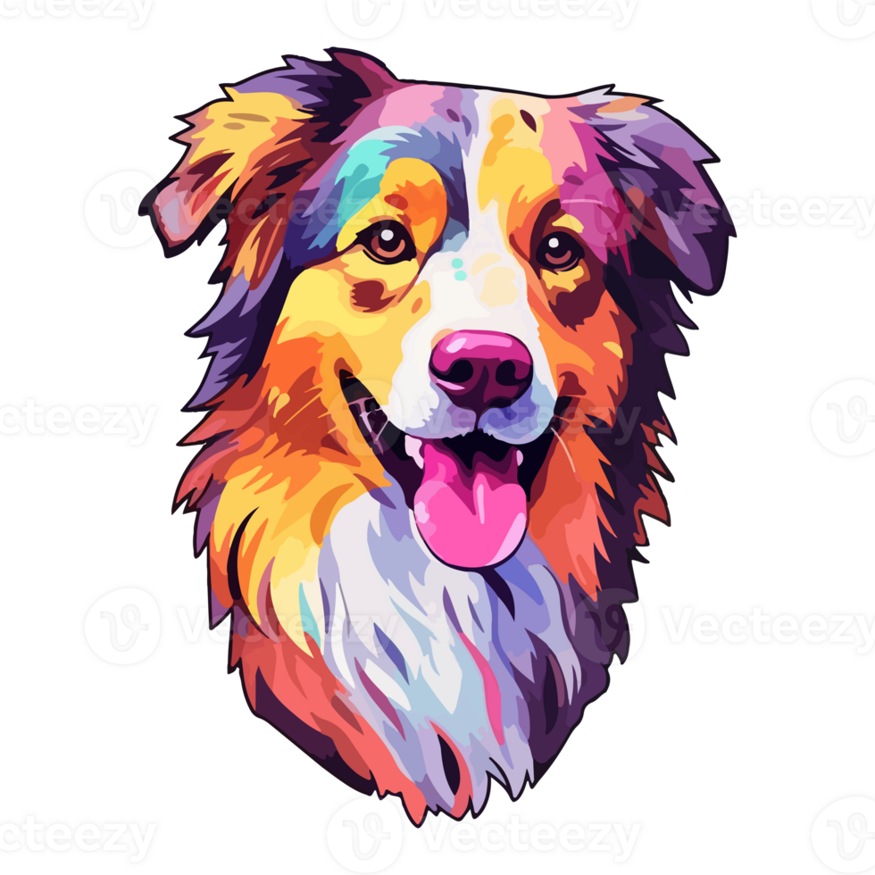 Colorful Australian Shepherd Dog, Australian Shepherd Portrait, Dog ...