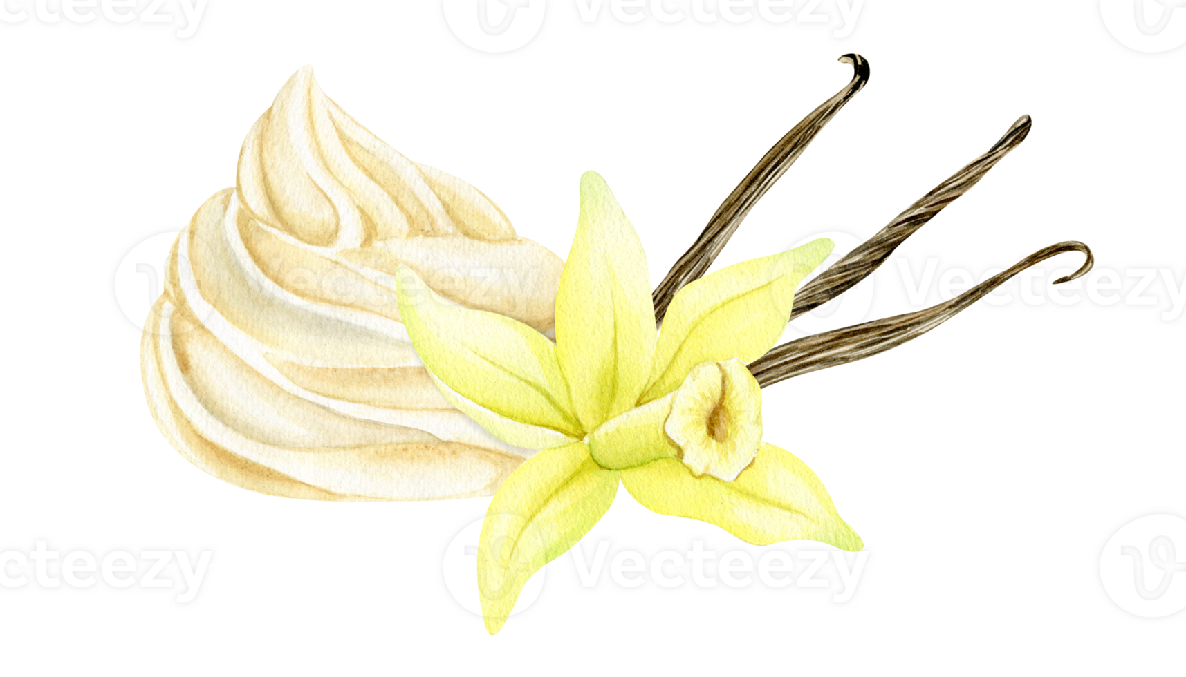 Vanilla dessert with vanilla flower and pods. Cream white zefir. Watercolor hand drawn illustration. Isolated. For menu, packaging design, advertising png