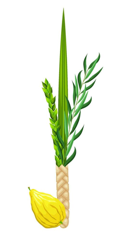 Traditional symbols of Sukkot is Etrog - citron, lulav - palm branch, hadas - myrtle, arava - willow. Festival of Ingathering or Feast of Tabernacles. Great for card, banner, collage, social media vector