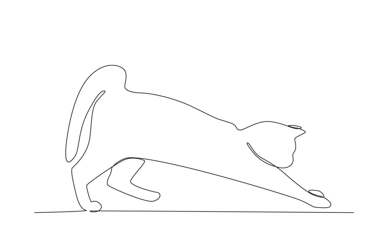 A cat stretches its front legs vector