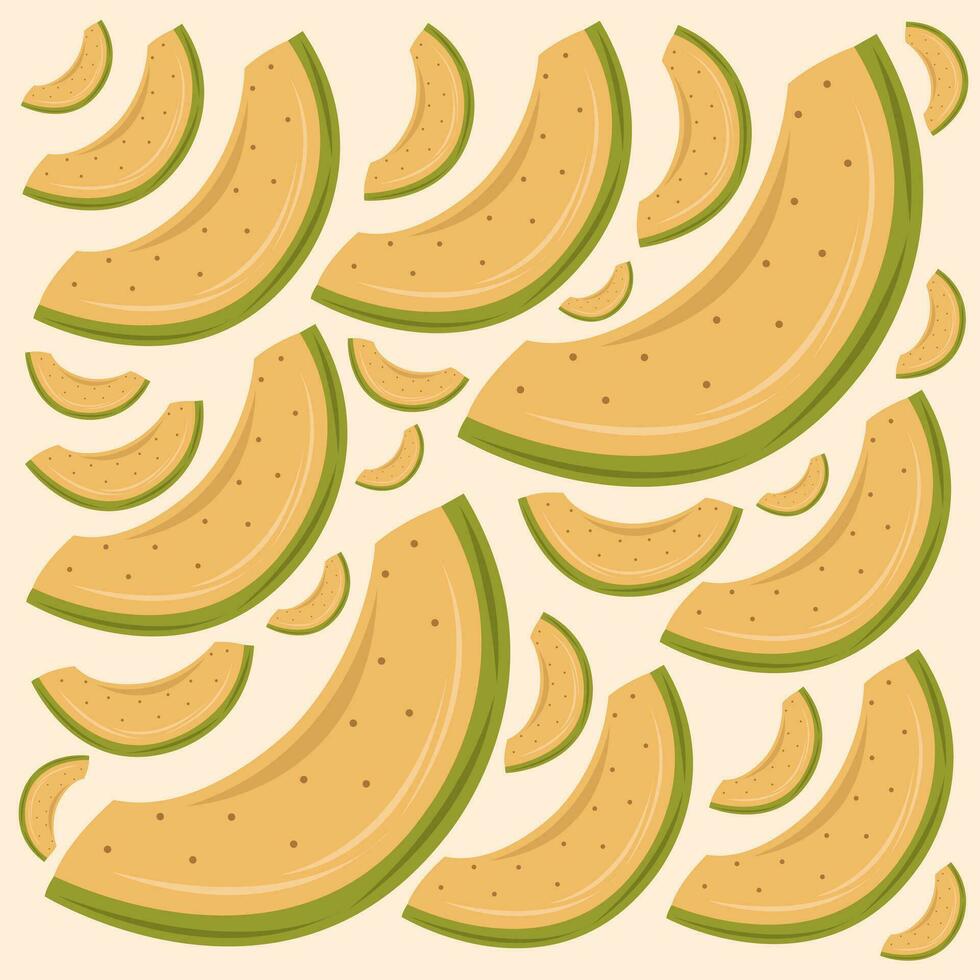 Cantaloupe vector illustration for graphic design and decorative element