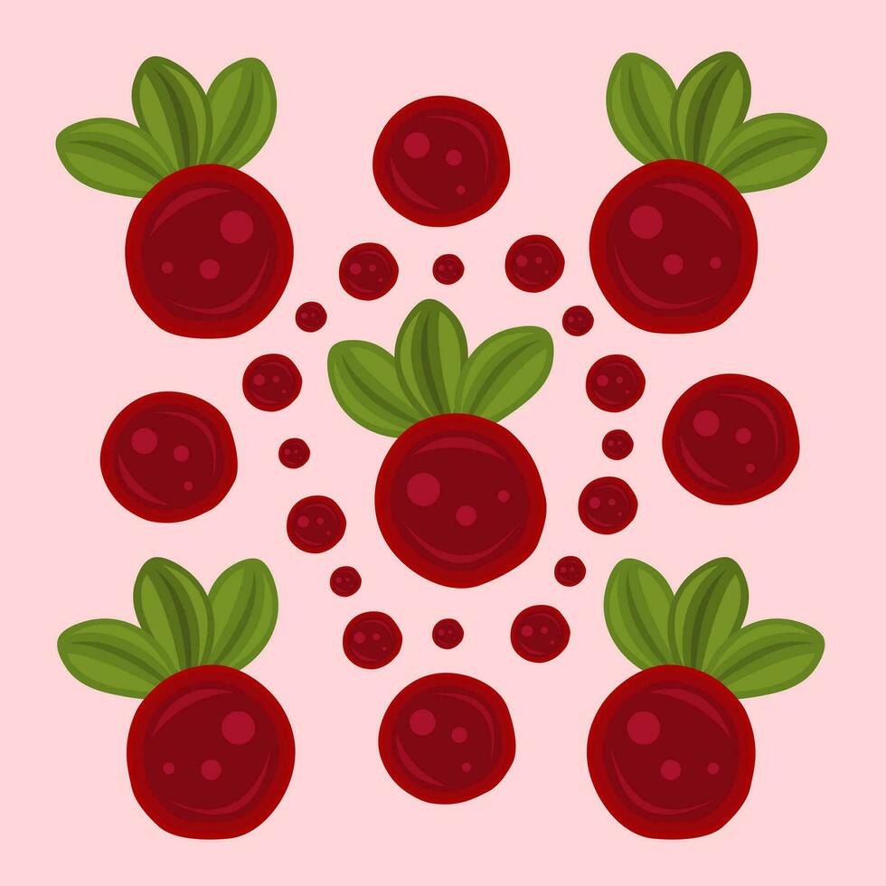 Lingonberry vector illustration for graphic design and decorative element