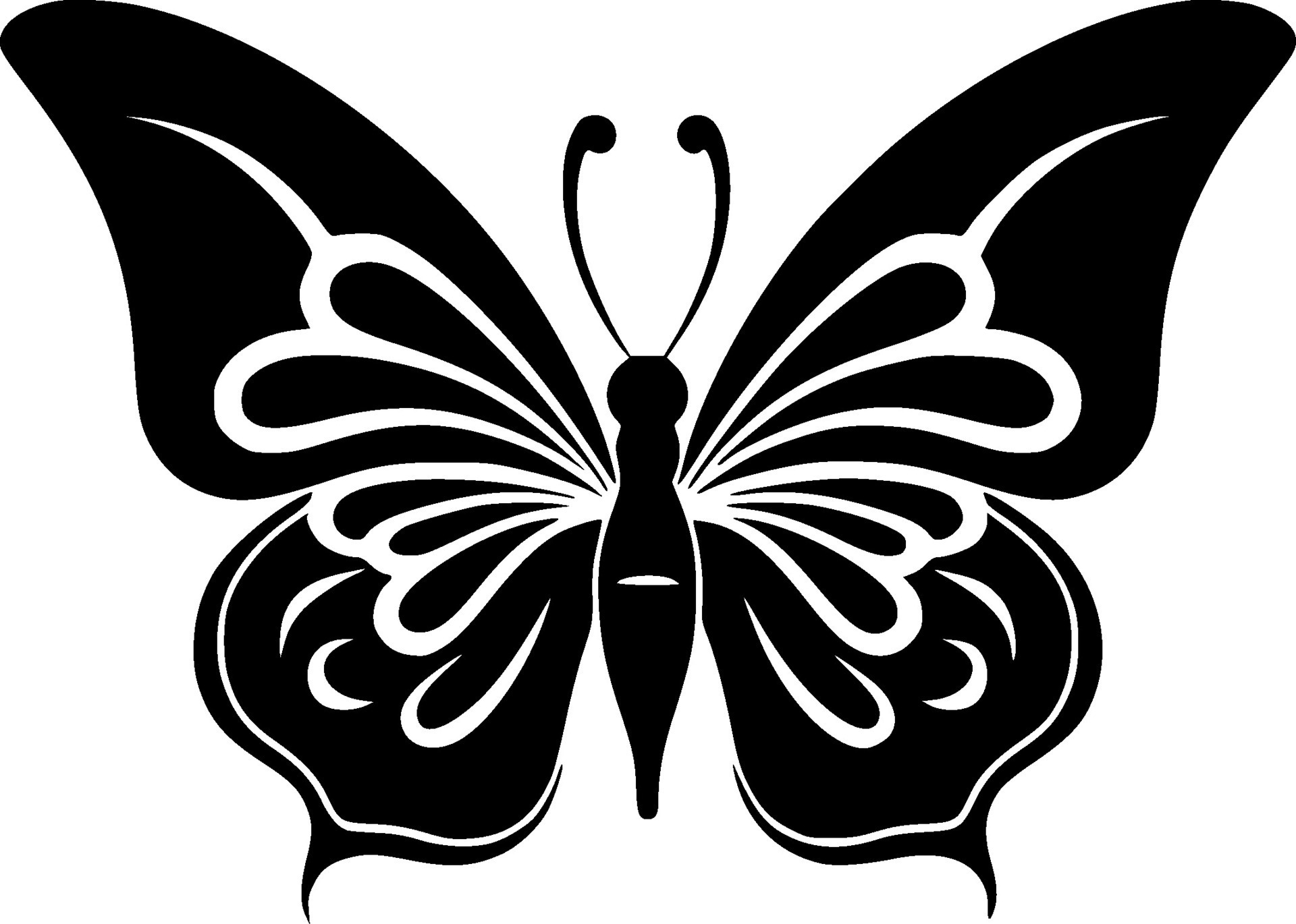Butterflies, Black and White Vector illustration 25341504 Vector Art at
