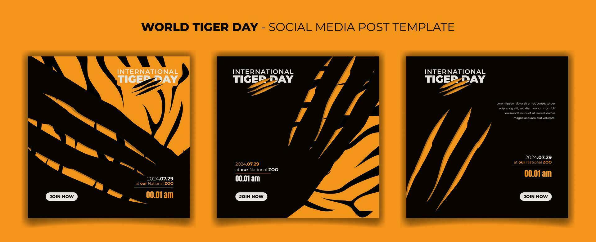 Set of social media template with tiger and tiger scratch background for tiger day design vector