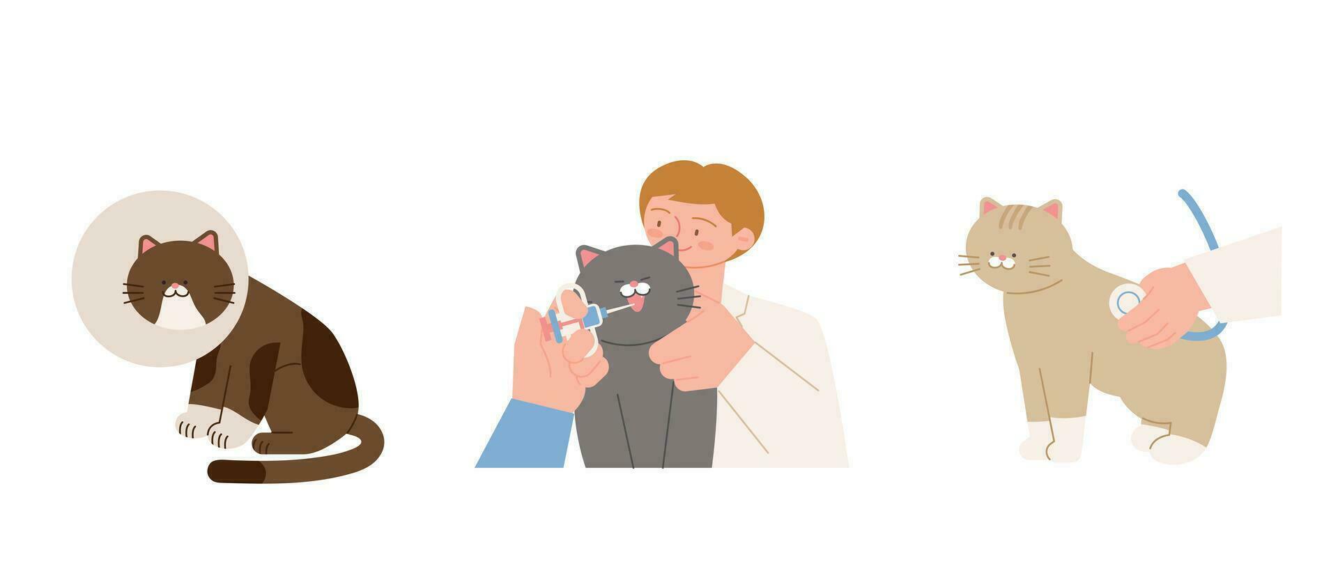 Cute cat. A cat who went to the hospital, neck collar and hospital medicine and examination. vector