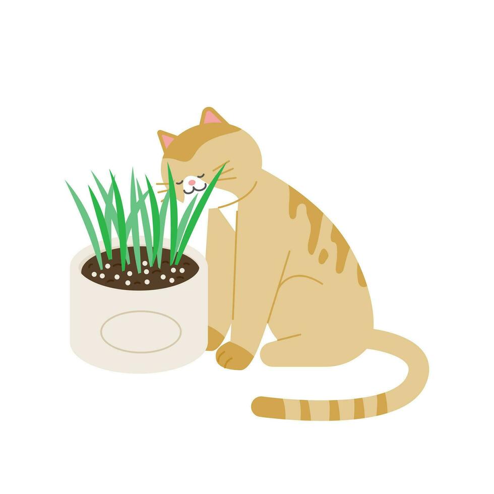 cat supplies. Flowerpot for cats. Catgrass oats. vector