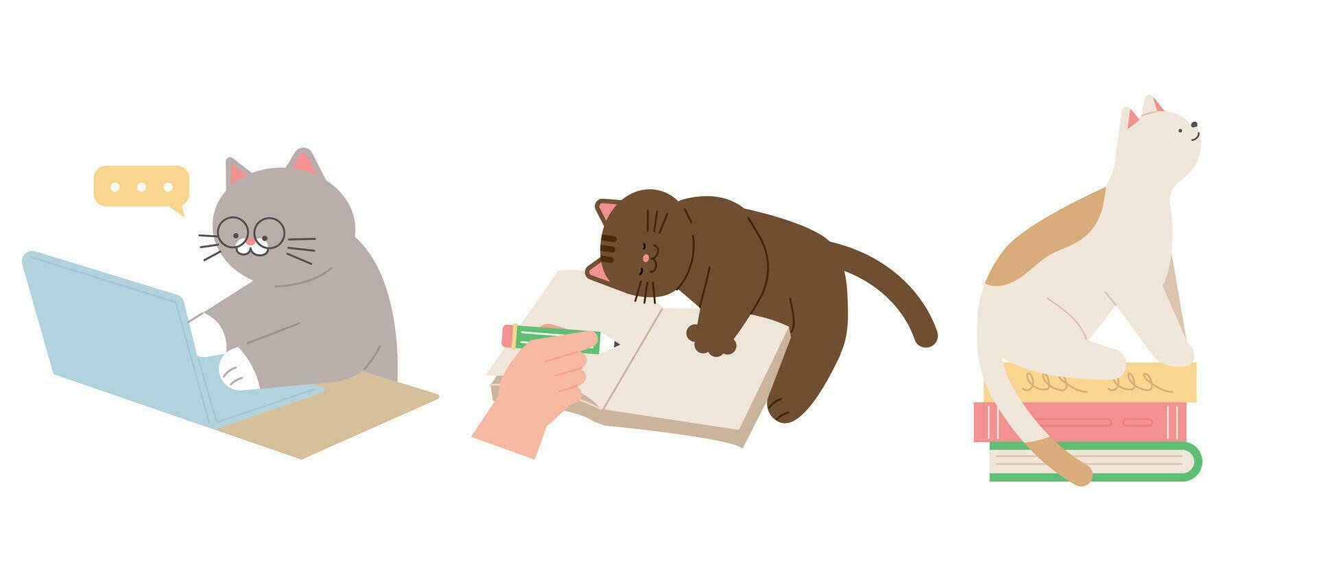 Cute cat. Cats sitting on books, interrupting work and study. vector