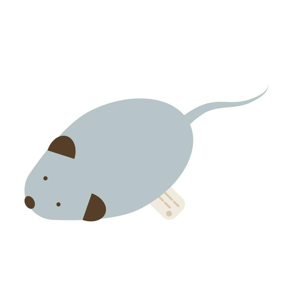 gato suministros. gato ratón juguete. vector