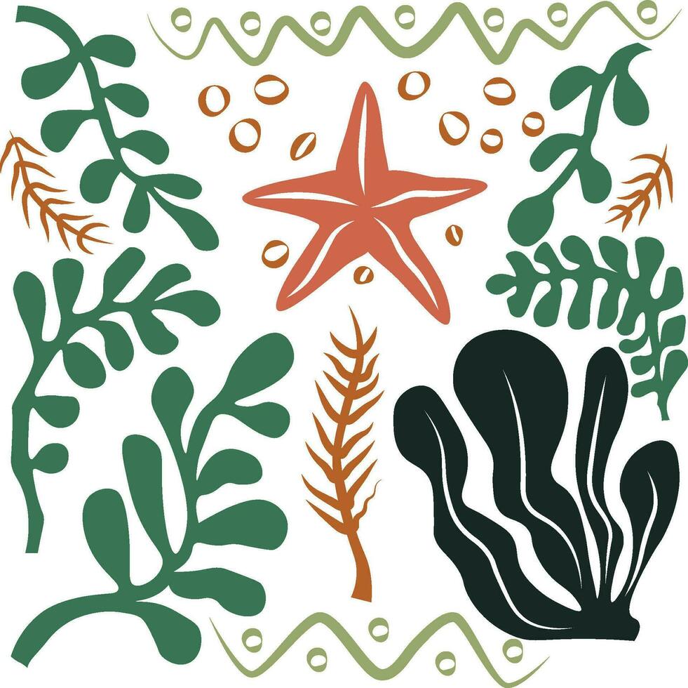 hand drawn sea star and algae collage vector