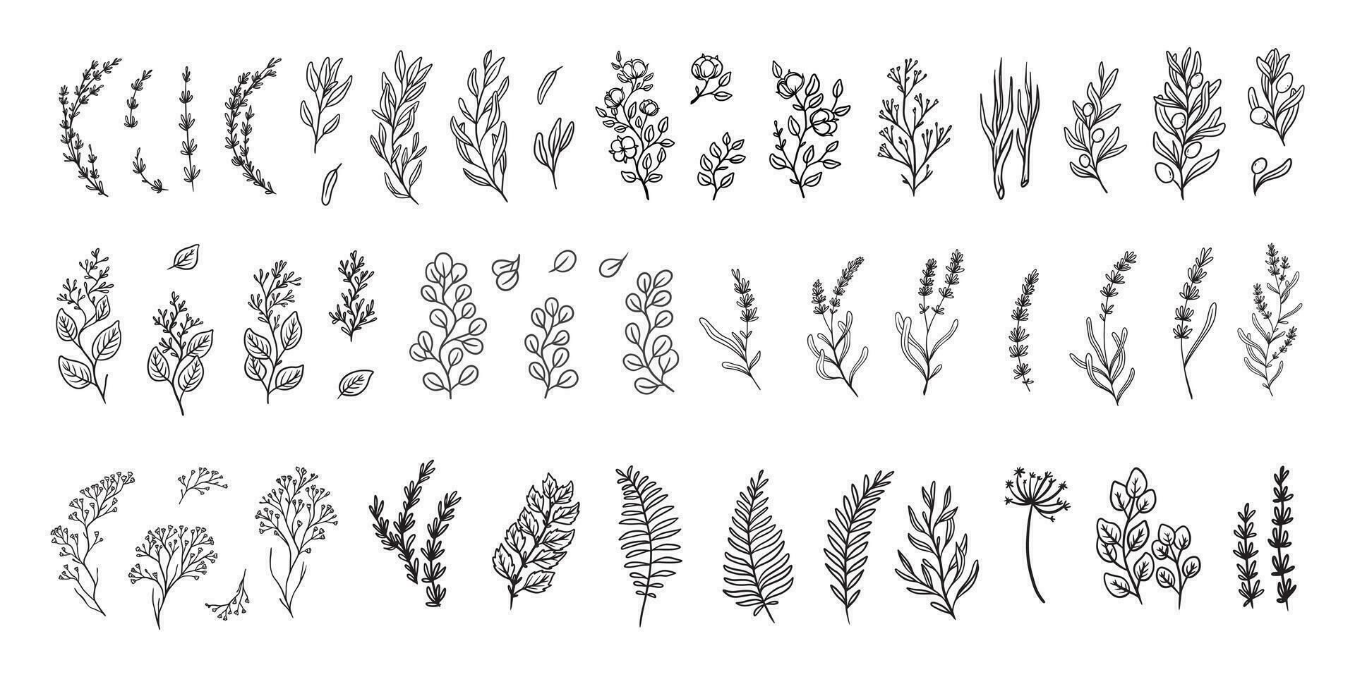 Bundle of floral hand drawn isolated vector