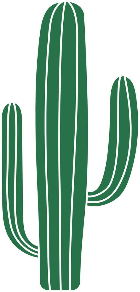 hand drawn retro saguaro cactuswith white lines isolated on the white background vector