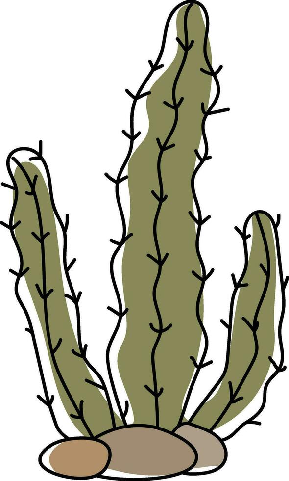 Hand drawn stetsonia cactus izolated on white background vector