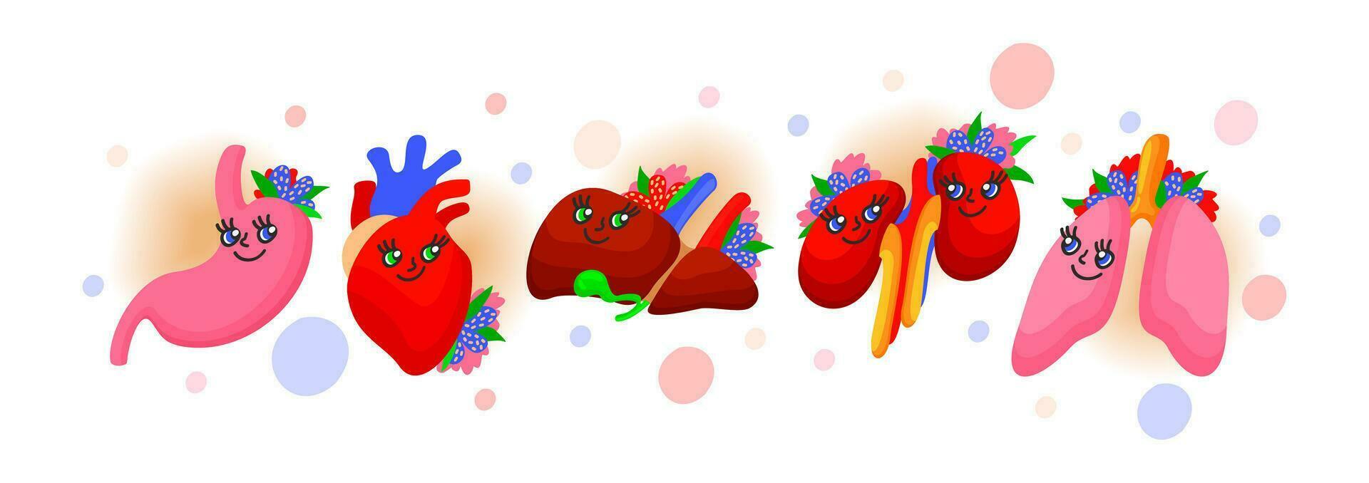 Set of cute human organs with flowers and colorful dots. Bright vector isolated illustration. Heart, liver, kidneys, stomach, lungs.