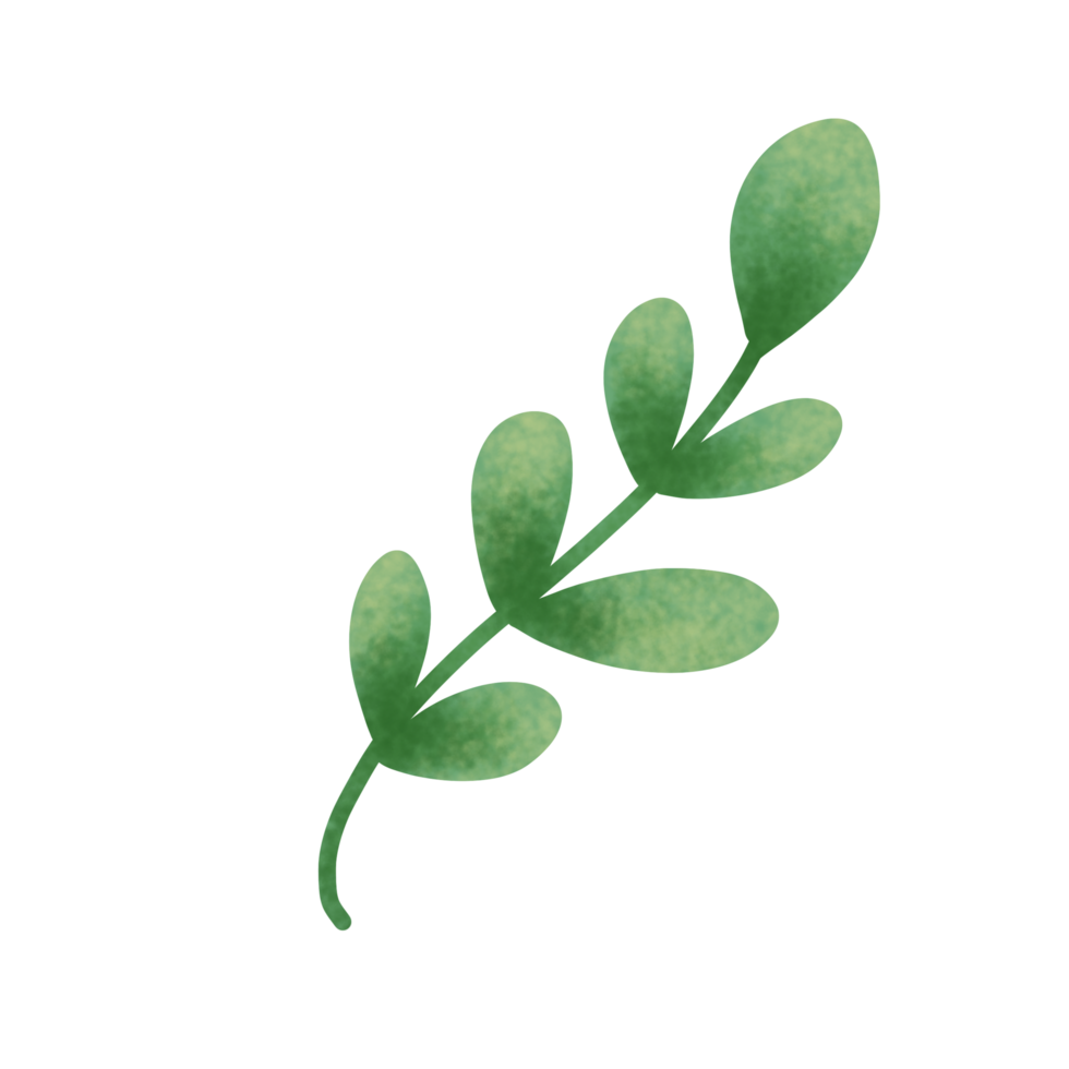 Cute Green leaf png