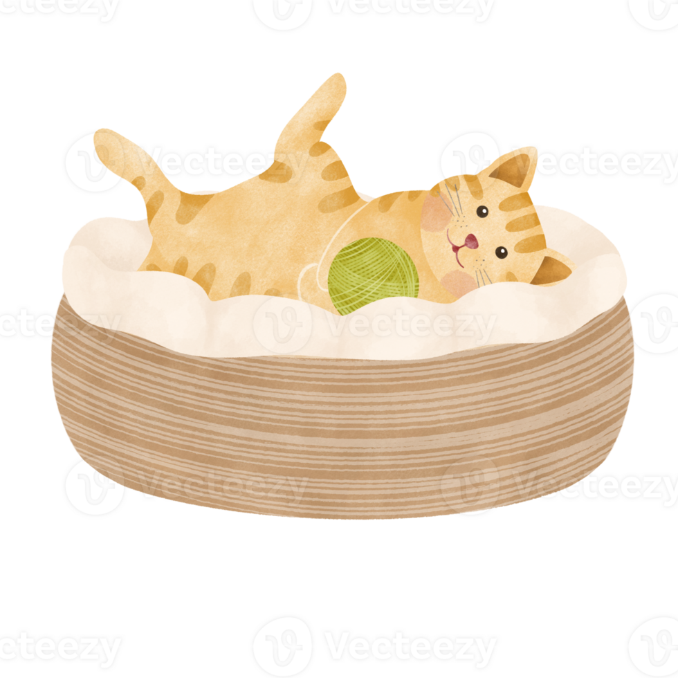 cute cat sleep on bed cartoon illustration 25347145 PNG