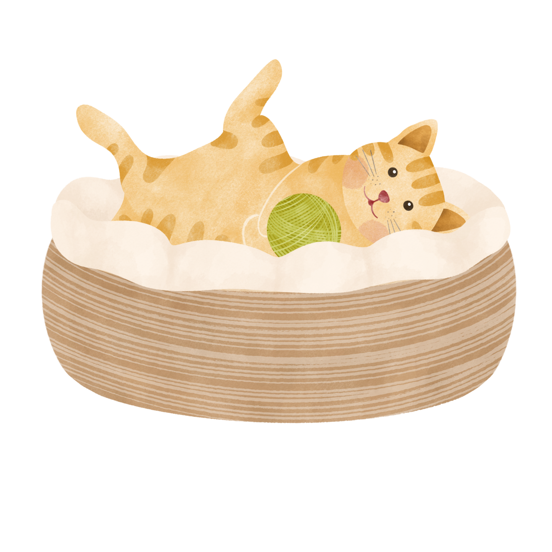 cute cat sleep on bed cartoon illustration 25347145 PNG
