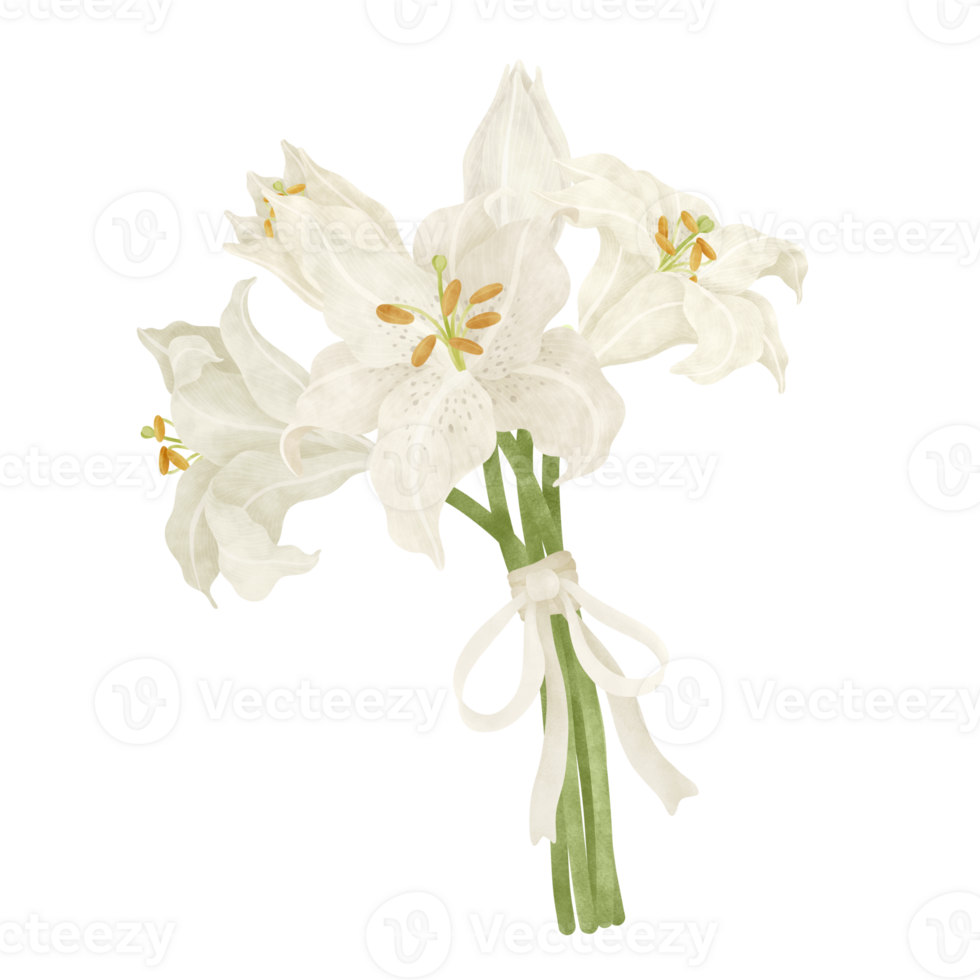White lily floral bouquet wedding png