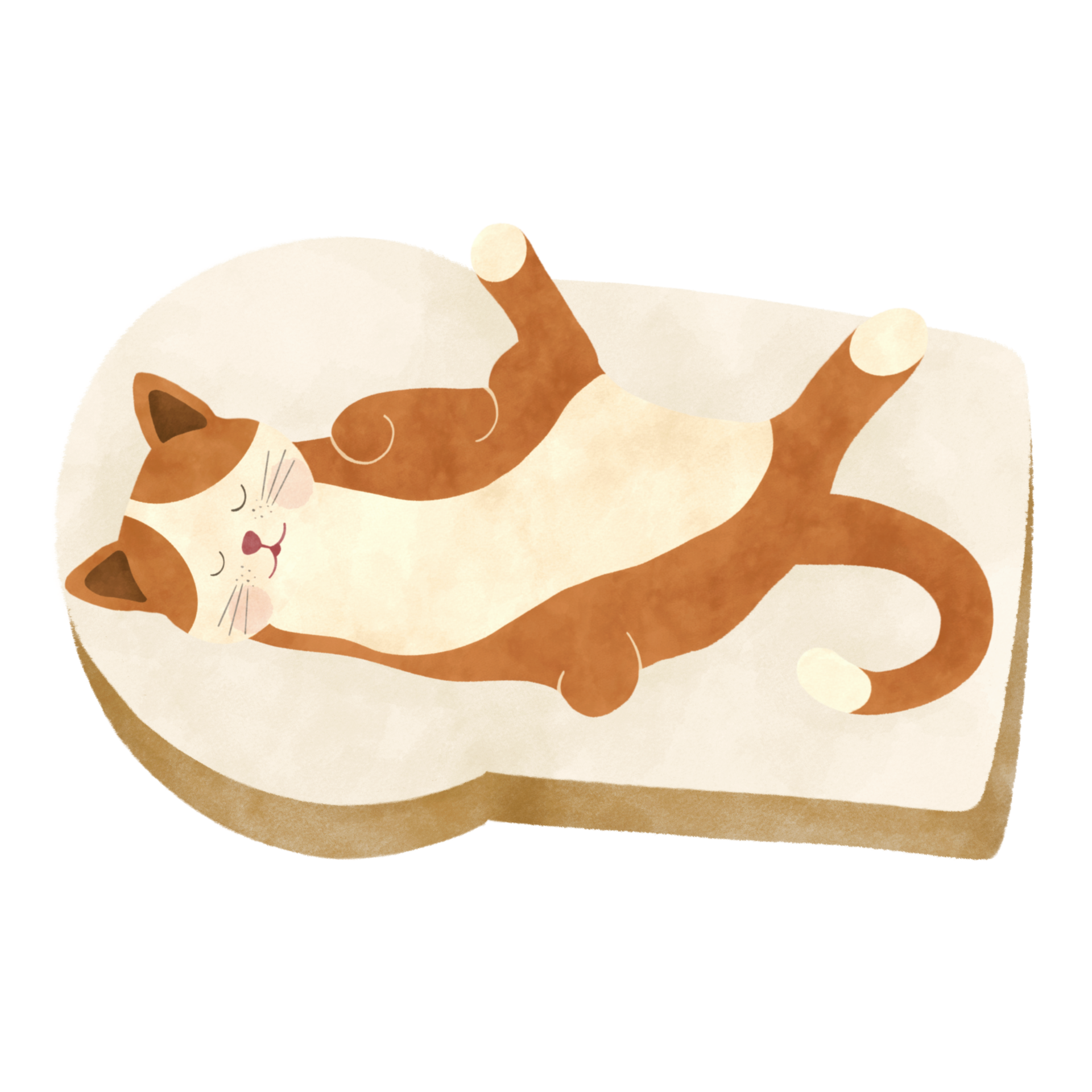 Conjunto De Gatos De Desenho Animado PNG , Gato Dormir, Animal