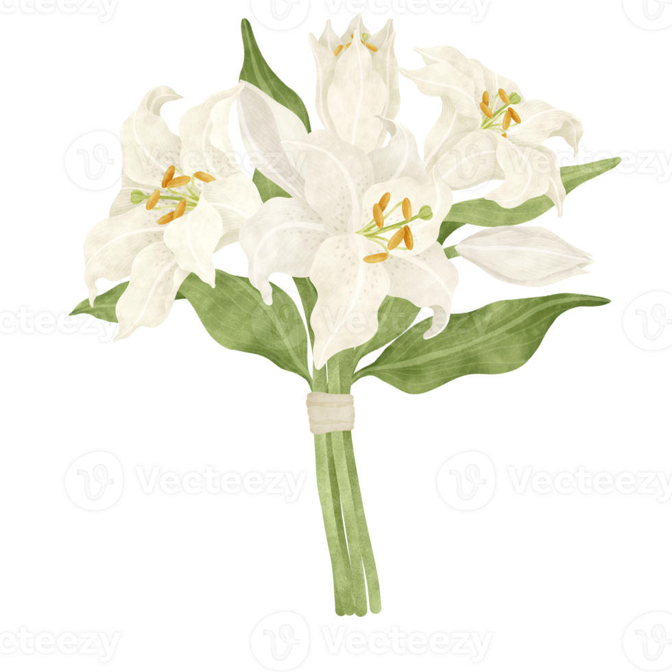 White lily floral bouquet wedding png