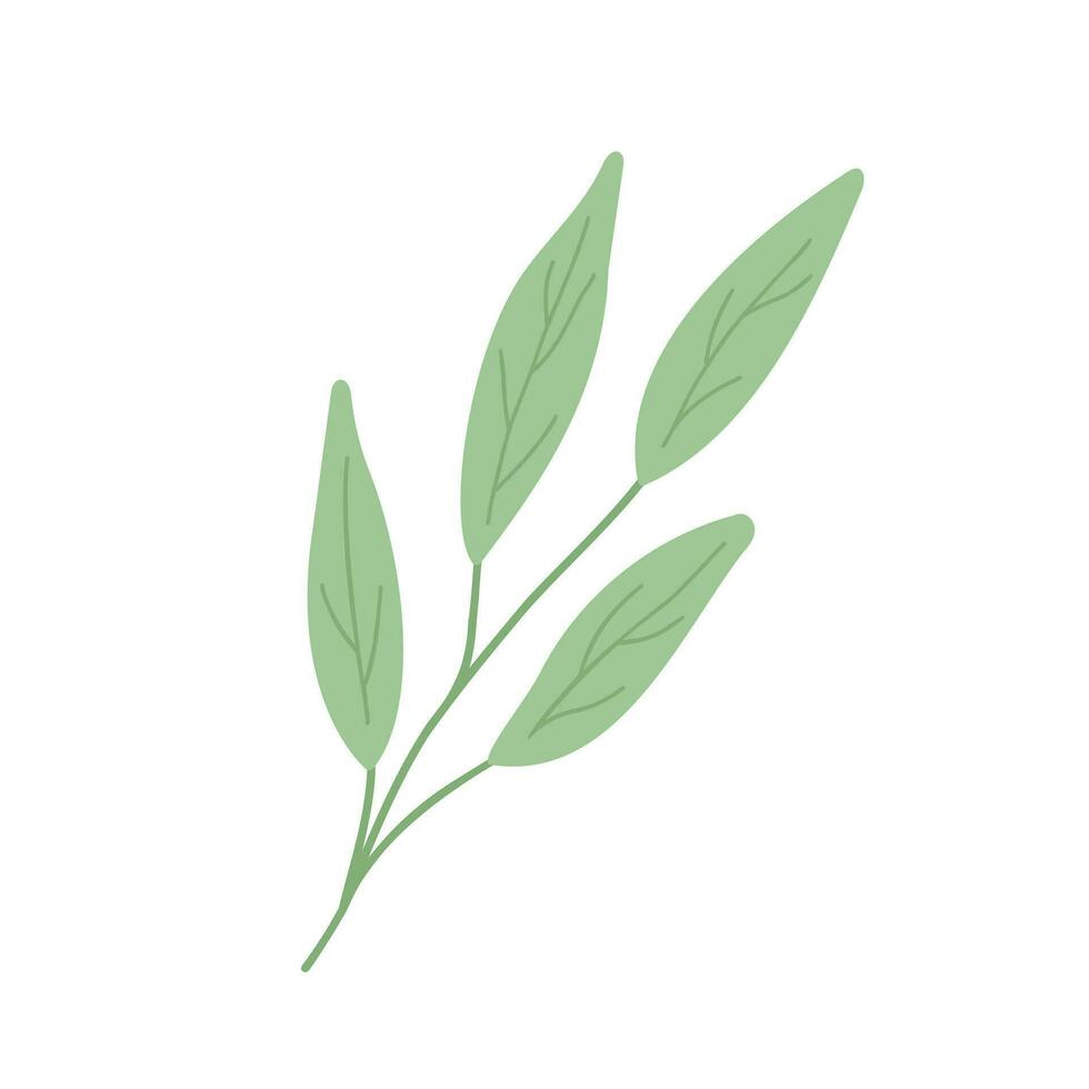 Green leaves simple vector minimalist concept flat style illustration, multicolored hand drawn natural floral elements set, element for invitations, greeting cards, booklet, autumn holiday