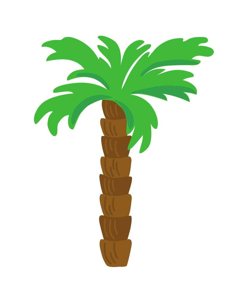 Palm tree tropical plant in simple style vector illustration, beach greenery, exotic jungle for making card, invitation, summer mood deco