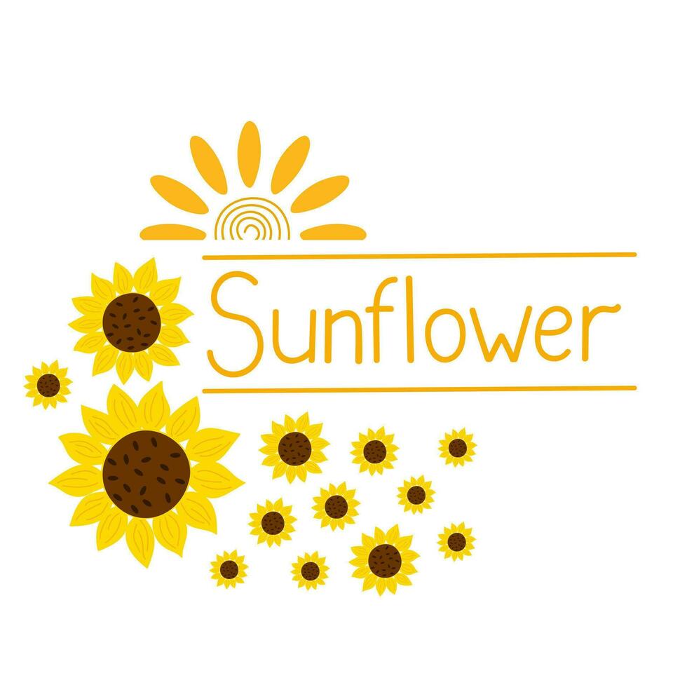 Yellow sunflowers flat style simple vector hand drawn floral illustration lettering, logo template