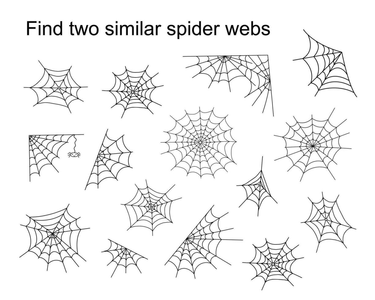 Find two similar Halloween spider webs educational activity for children, outline hand drawn vector illustration of puzzle game, simple cartoon doodle fancy insect worksheet